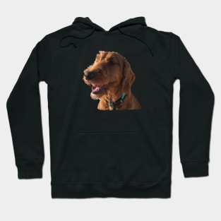 Goldendoodle Smile Hoodie